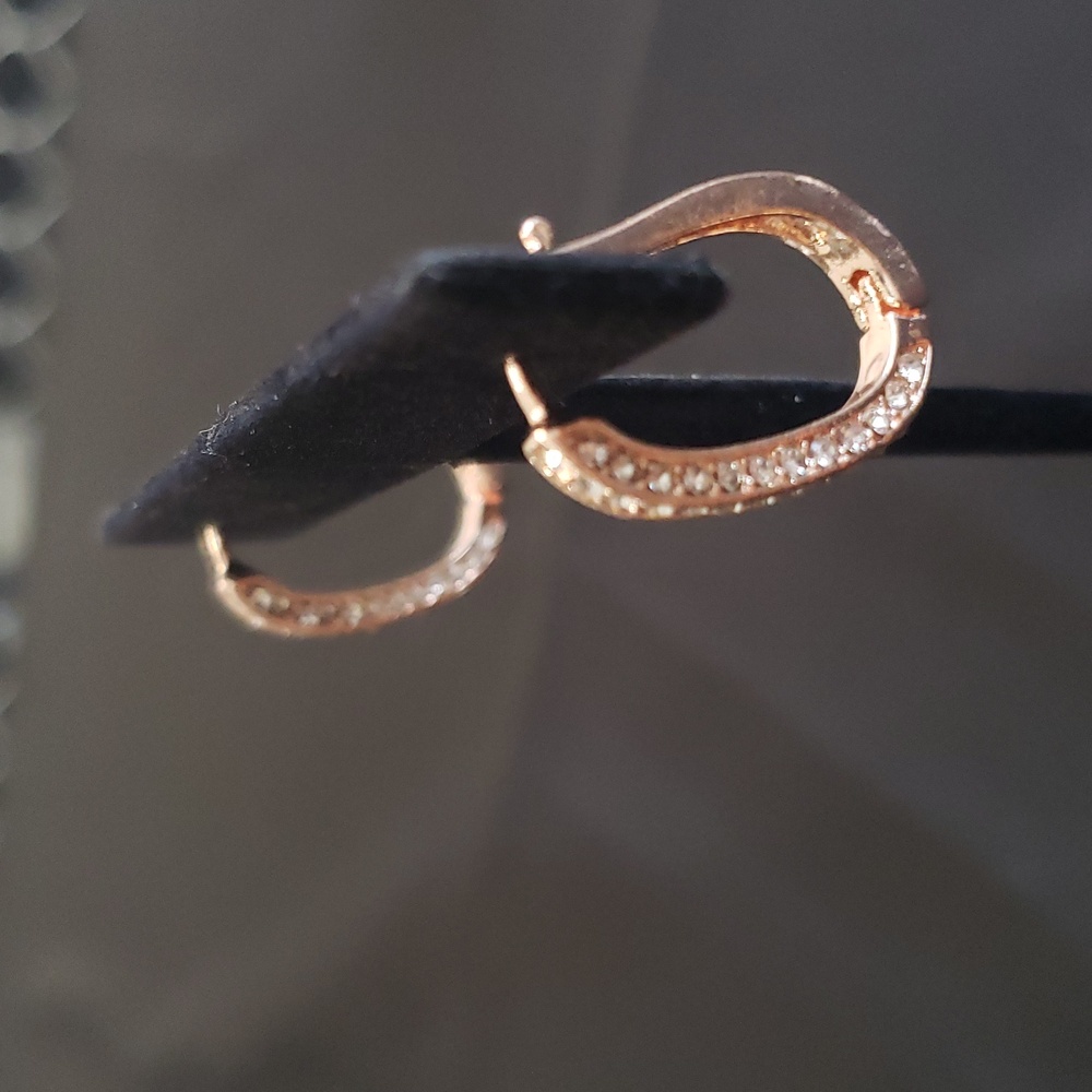 Earrings - Picture 3 of 4